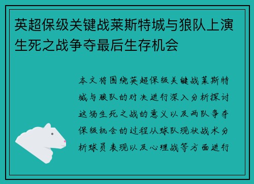 英超保级关键战莱斯特城与狼队上演生死之战争夺最后生存机会